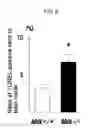 Fig. 07 - Method to reduce loss of cardiac function following ischemia/reperfusion