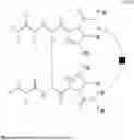 Fig. 49 - DIMERIC IAP INHIBITORS