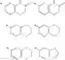 Fig. 14 - COMPOUNDS