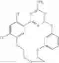 Fig. 294 - Macrocyclic compound