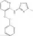 Fig. 49 - Glucokinase activators