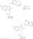 Fig. 06 - Salts with CRTH2 Antagonist Activity