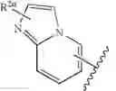 Fig. 20 - NOVEL PYRAZOLE COMPOUNDS AS TRANSFORMING GROWTH FACTOR (TGF) INHIBITORS