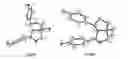 Fig. 01 - Prodrugs of (3,5-bis(4-fluorophenyl)tetrahydro-1H-oxazolo[3,4-C]oxazol-7A-yl)methanol and derivatives thereof