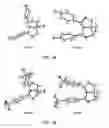 Fig. 02 - Prodrugs of (3,5-bis(4-fluorophenyl)tetrahydro-1H-oxazolo[3,4-C]oxazol-7A-yl)methanol and derivatives thereof