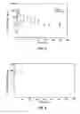 Fig. 08 - Prodrugs of (3,5-bis(4-fluorophenyl)tetrahydro-1H-oxazolo[3,4-C]oxazol-7A-yl)methanol and derivatives thereof