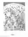Fig. 03 - Expandable resins