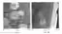 Fig. 05 - Expandable resins