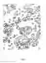 Fig. 09 - Expandable resins