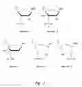 Fig. 02 - Hydroxymethyl substituted RNA oligonucleotides and RNA complexes