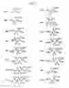 Fig. 02 - Stable isotope-labeled aromatic amino acids, method for incorporating the same in target protein and method for NMR-structural analysis of proteins