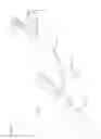 Fig. 02 - Extravascular system in-line venting