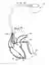 Fig. 01 - Implantable systems and method for use therewith for tracking changes in hemodynamics and cardiac disease