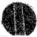 Fig. 131 - Substance with an antimicrobial effect