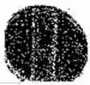 Fig. 136 - Substance with an antimicrobial effect