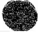 Fig. 255 - Substance with an antimicrobial effect