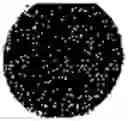 Fig. 352 - Substance with an antimicrobial effect