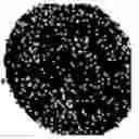 Fig. 366 - Substance with an antimicrobial effect