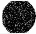 Fig. 397 - Substance with an antimicrobial effect