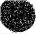 Fig. 45 - Substance with an antimicrobial effect