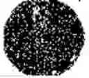 Fig. 484 - Substance with an antimicrobial effect