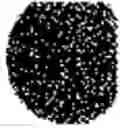 Fig. 486 - Substance with an antimicrobial effect