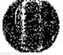 Fig. 489 - Substance with an antimicrobial effect