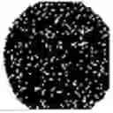 Fig. 511 - Substance with an antimicrobial effect