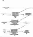 Fig. 01 - Method and system for enhancing computer object rules and catalogs