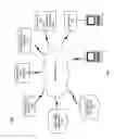Fig. 02 - System of growth and automated migration
