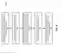 Fig. 07 - Methods for improving file system performance