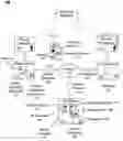 Fig. 01 - Solution that leverages an instant messaging system to manage ad hoc business process workflows