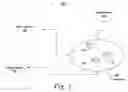 Fig. 02 - Distributed content caching solution for a mobile wireless network