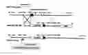 Fig. 01 - PROTEIN FORMULATIONS COMPRISING S1-5