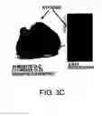 Fig. 06 - PROTEIN FORMULATIONS COMPRISING S1-5