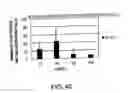 Fig. 45 - PROTEIN FORMULATIONS COMPRISING S1-5
