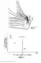 Fig. 07 - VENT SYSTEM FOR A COOKING APPLIANCE