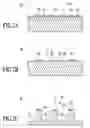 Fig. 03 - Textured chamber surface