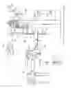Fig. 02 - Method of welding projection bolt and welding apparatus