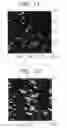 Fig. 07 - Thin-film transistor and process for its fabrication