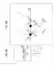 Fig. 07 - Apparatus, method, and computer program for analyzing image data