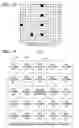 Fig. 09 - Information embedding method, its program and information embedding device