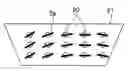 Fig. 01 - METHOD FOR PRODUCING POLARIZING PLATE, AND AUTOMOBILE'S WINDSHIELD