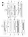 Fig. 06 - Flexible Radio Link Control Packet Data Unit length