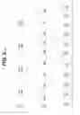 Fig. 04 - CHANNEL QUALITY FEEDBACK SIGNAL FOR WIRELESS NETWORKS
