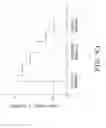 Fig. 40 - Compressor slider, slider preform, scroll part, and compressor