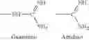 Fig. 02 - METHOD FOR THE COSMETIC TREATMENT OF KERATINIC MATERIALS AND COMPOSITION CONTAINING A GRAFTED AMINO ACID POLYMER