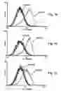 Fig. 02 - Antibodies for selective apoptosis of cells