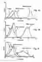 Fig. 03 - Antibodies for selective apoptosis of cells