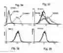 Fig. 07 - Antibodies for selective apoptosis of cells